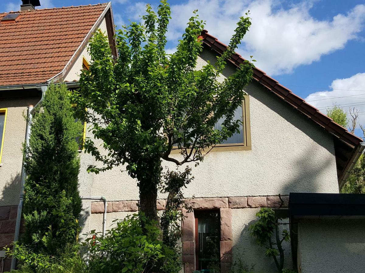 Ferienhaus Am Kirchberg Kurort Steinbach-Hallenberg Exterior foto